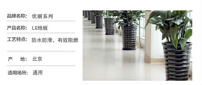 優麗系列1.jpg